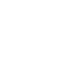 <p>Bio & artisanal</p>